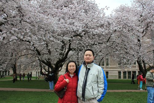 2011华盛顿大学樱花